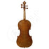 Carsten Friedrich Violin (7/8, 4/4)