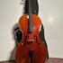 [Garage Sale] Cello 1/2 Lukas Carmen Fair - #14027