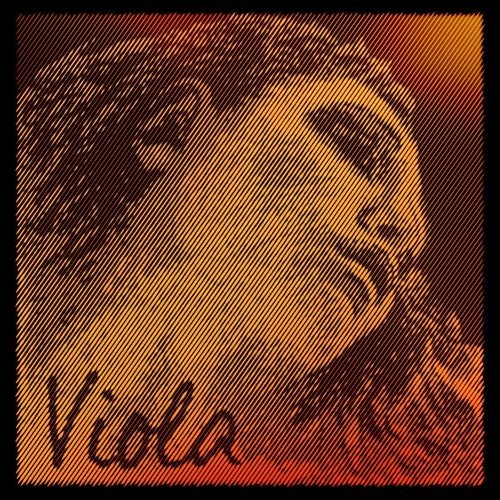 EVAH PIRAZZI GOLD Viola PACKAGE SET