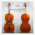 Meteny Belgium Workshop Cello Belium (4/4)