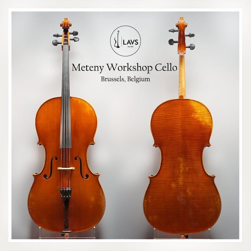 Meteny Belgium Workshop Cello Belium (4/4)