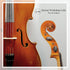 Meteny Belgium Workshop Cello Belium (4/4)