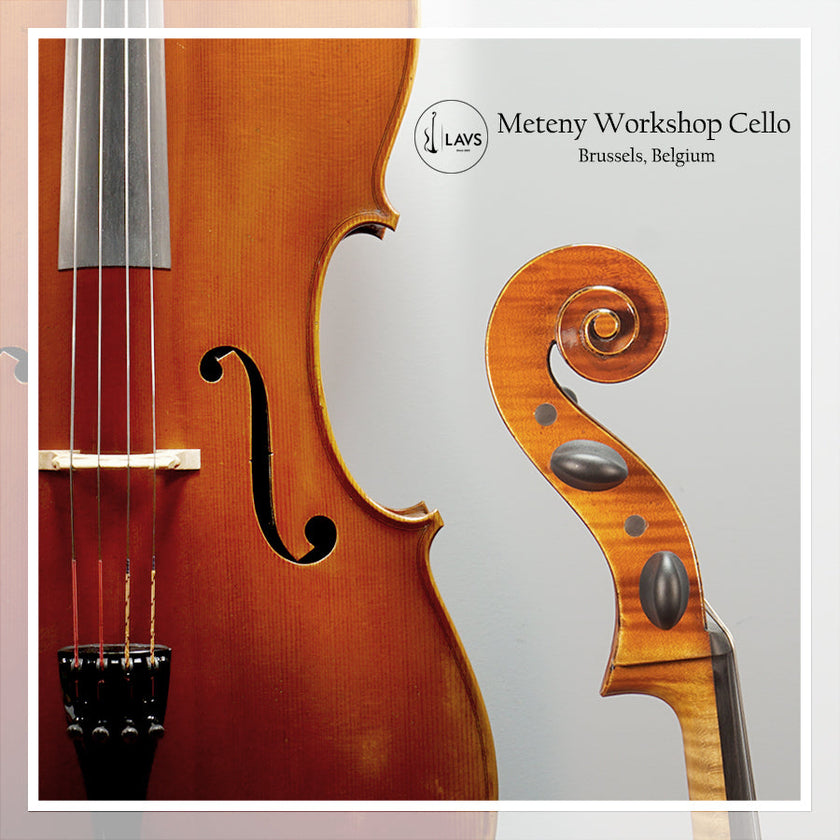 Meteny Belgium Workshop Cello Belium (4/4)