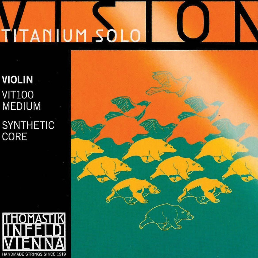 Vision Titanium Solo Violin Box Set 4/4 - Med