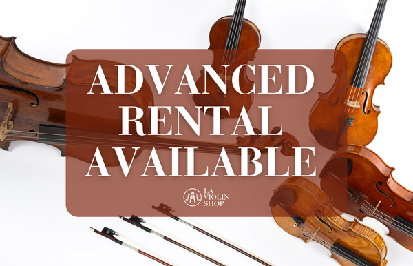 template--18593448886434__image_with_text_Yh6mew