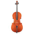 Cello by Andrea Caccia Mantua 2013