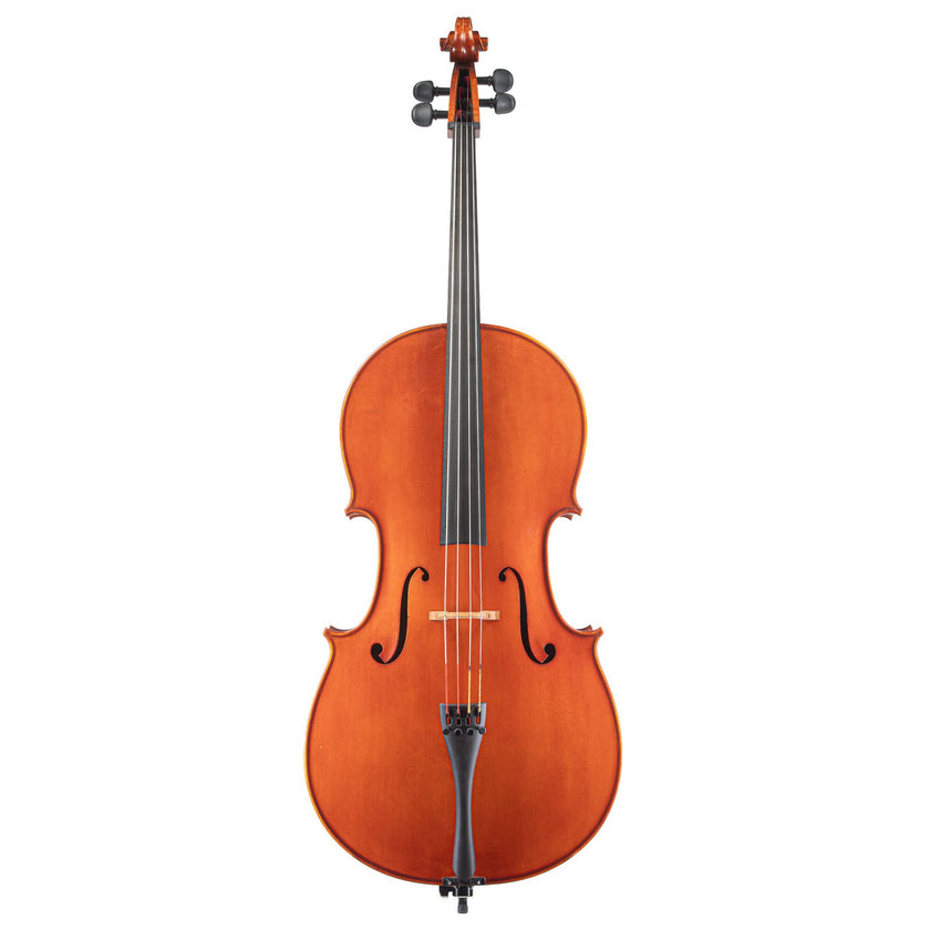 Cello by Andrea Caccia Mantua 2013