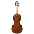 Violin Labeled Andrea Borelli 1724 German Old
