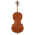 Cello by Anton Somers, Melsele 2022