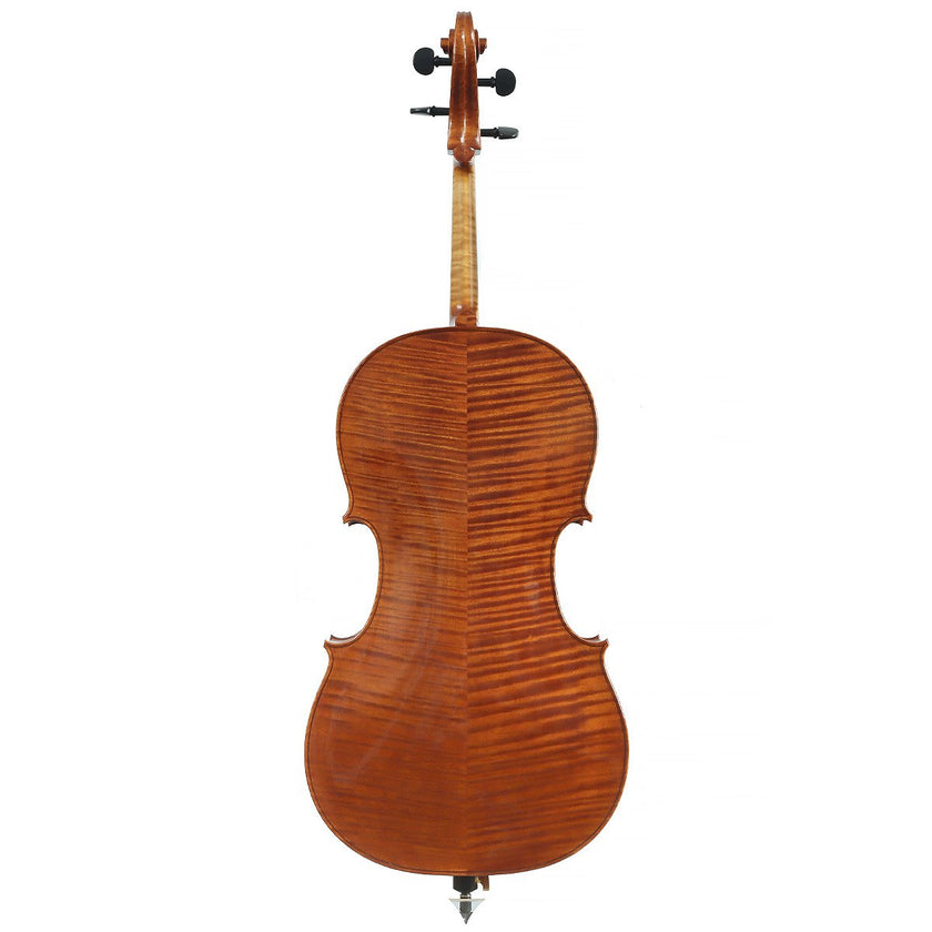 Cello by Anton Somers, Melsele 2022