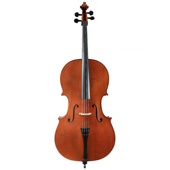 Cello by Anton Somers, Melsele 2022