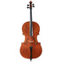 Cello by Anton Somers, Melsele 2022