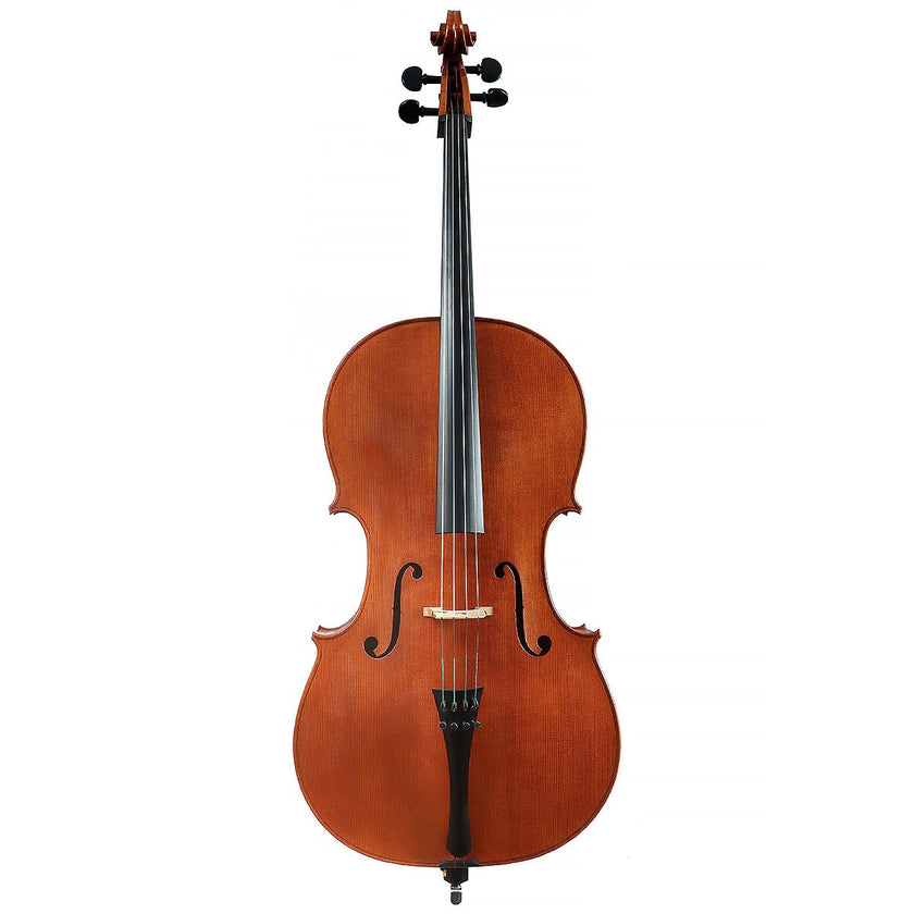 Cello by Anton Somers, Melsele 2022