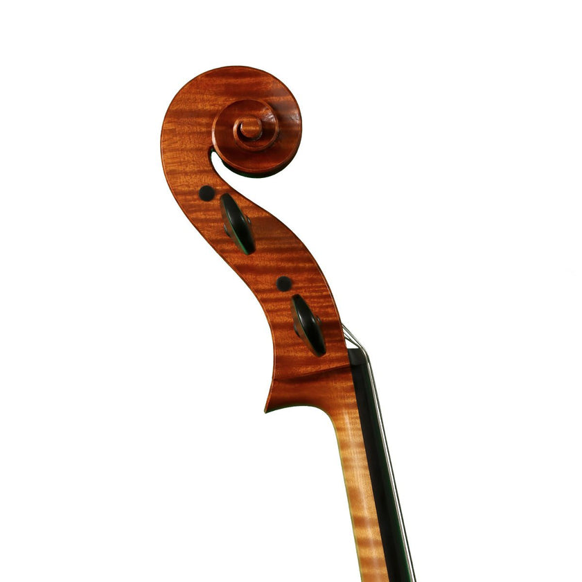 Cello by Anton Somers, Melsele 2022