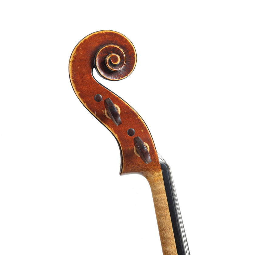 Viola by Amos Hargrave Lawrence, Kansas 2015 - 16