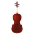 Carlos Rizzo Viola Outfit (12