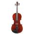 Carlos Rizzo Viola Outfit (12
