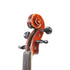 Carlos Rizzo Viola Outfit (12