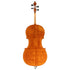 Calin Wultur #6 Piatti Strad Cello
