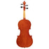 Carlos Rizzo Violin Outfit (1/16 - 4/4)