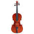 Carlos Rizzo Violin Outfit (1/16 - 4/4)