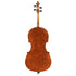 Cello by Julian Gleason