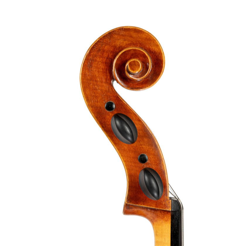Cello by Julian Gleason