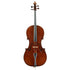 Cello labeled Hornsteiner 1870