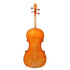 Christian Pedersen 2003 Viola 16