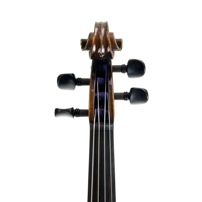 Enrico Rizzo Viola Only (13