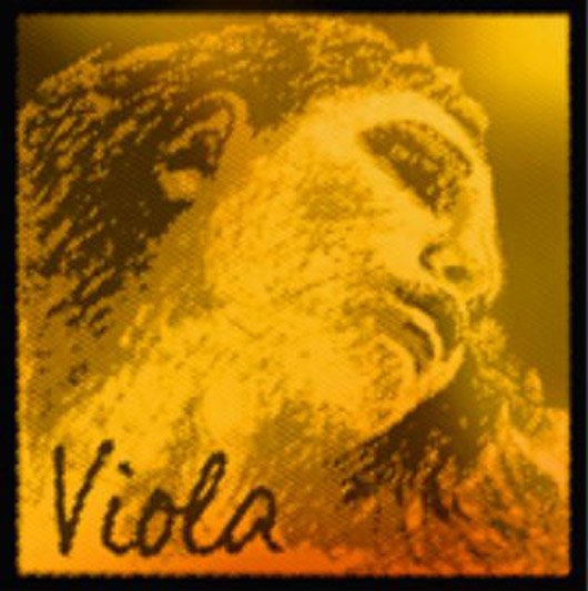 EVAH PIRAZZI GOLD Viola PACKAGE - C Tungsten/Silver