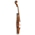 Violin by Francois Louis Pique, France 1793