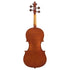 Violin by Georgi Nikolov Cremona 2021
