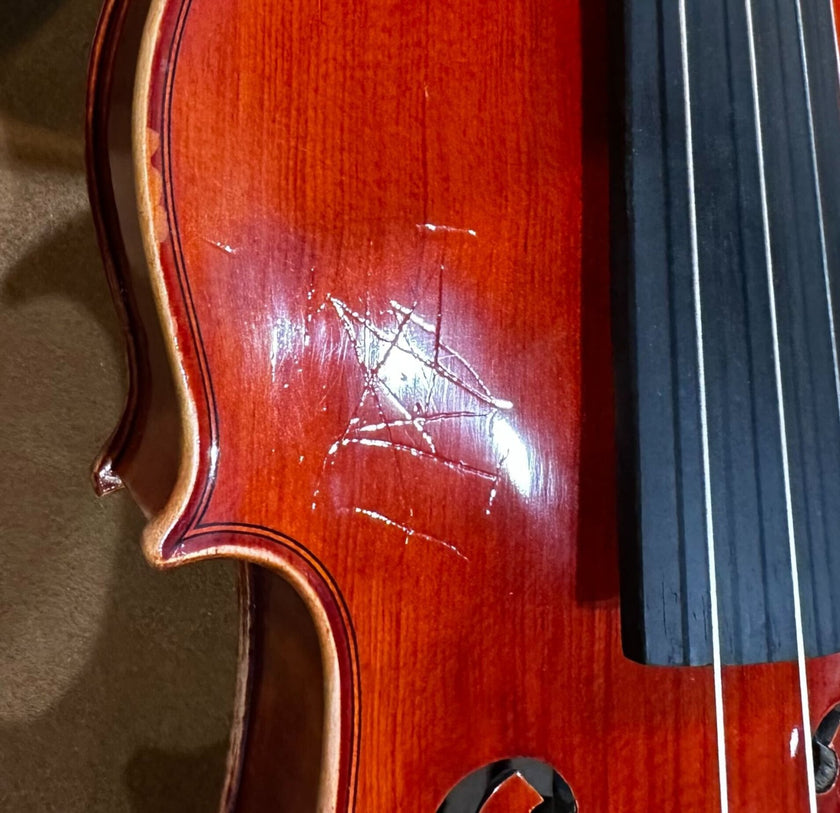 [Garage Sale] Viola 14
