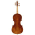 Labeled Testore Violin 7/8