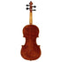 Violin by Marek Tomaszewski 2025 4/4 Guarneri
