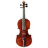 Violin by Marek Tomaszewski 2025 4/4 Guarneri