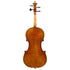 Marino Rizzo Violin