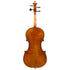 Marino Rizzo Violin