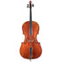 Mathias Thoma Cello 4/4 - Guadagnini