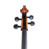 Mathias Thoma Cello 4/4 - Guadagnini