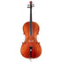 Meteny Belgium Workshop Cello Belium (4/4)