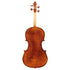 Viola by Migiel Pawel 2023 16.25
