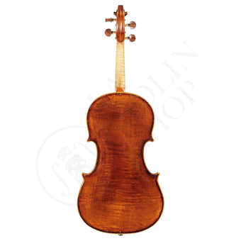 Viola by Migiel Pawel 2023 16.25