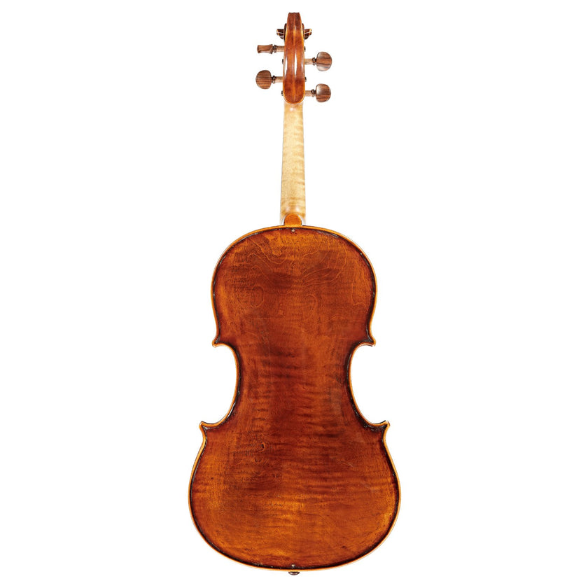 Viola by Migiel Pawel 2023 16.25