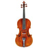 Viola by Migiel Pawel 2023 16.25