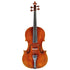 Viola by Migiel Pawel 2023 16.25