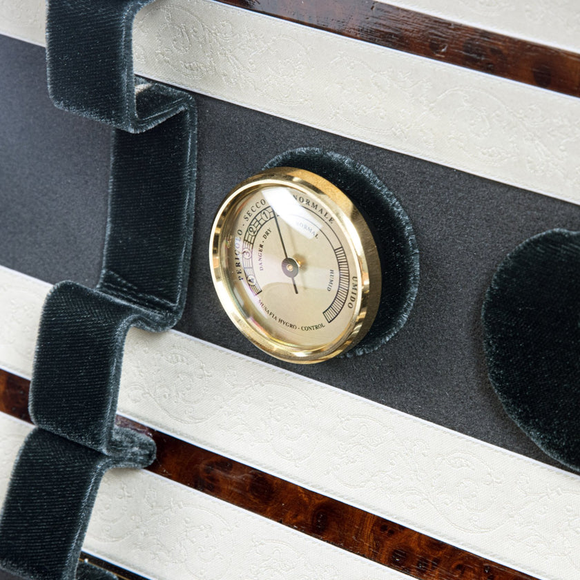 Musafia Aeternum Violin