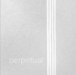 Perpetual Cello Soloist -  individual Strings