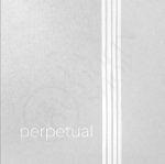 Perpetual Cello Soloist -  individual Strings